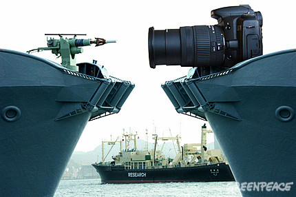 Shoot-whales-with-a-CANON.jpg