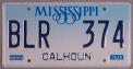 MS Plate